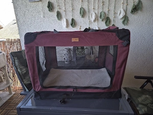 transportbox faltbar für hunde und katzen