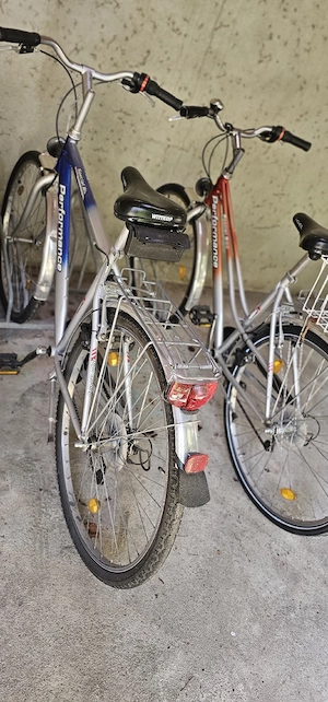 2  Performance Fahrräder damen herren