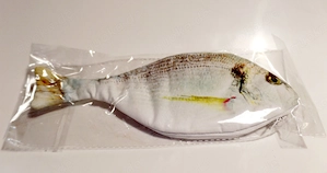 Schulmäppchen Federmäppchen Fisch neu OVP