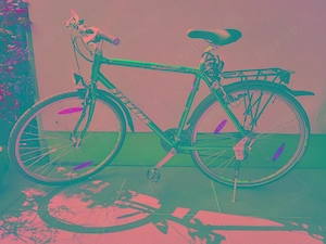 Fahrrad Stevens 462 sport