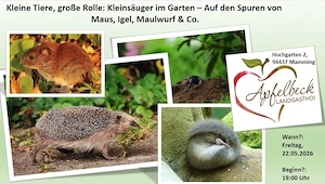 Vortrag: Kleine Tiere, große Rolle: Kleinsäuger im Garten   Auf den Spuren von  Maus, Igel, Maulwurf