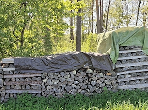 Brennholz Fichte Kiefer 