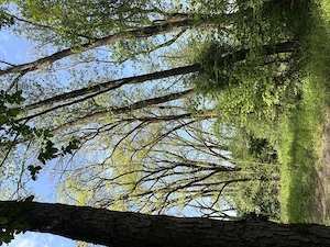 Welche Sie bringt meine Gedanken zum Schmelzen?