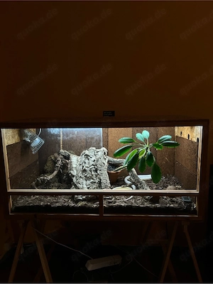 Terrarium für Schlange ohne Tier