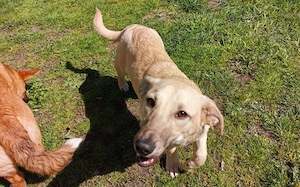 Herr Sander wartet auf dich