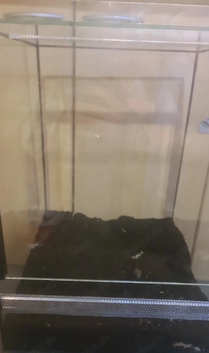 falltür terrarium 30x30x45