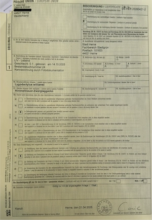Lygodactylus williamsi aus eigener Nachzucht (0.1)