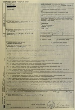 Lygodactylus williamsi aus eigener Nachzucht (0.0.1)