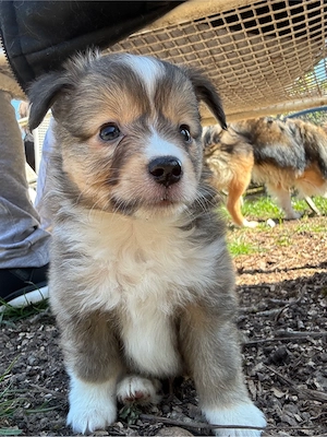 Hallo, ich bin Teac ;)