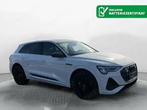 Audi e-tron 50 quattro S-Line, Tour, 21", Optik schwa