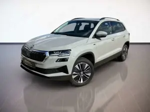 Skoda Karoq Bild 2