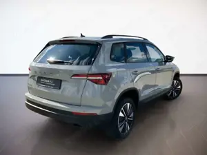 Skoda Karoq Bild 4