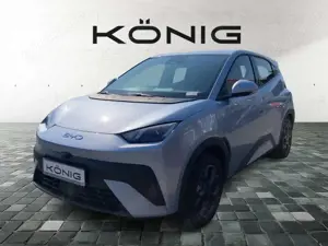 BYD Dolphin SURF Boost