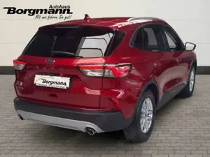 Ford Kuga Titanium - Navi - ACC - Apple CarPlay und Android Bild 4