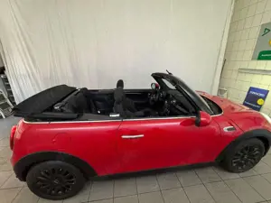 MINI Cooper Cabrio Chili KAMERA BI-XENON TEILLEDER Bild 4