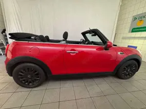 MINI Cooper Cabrio Chili KAMERA BI-XENON TEILLEDER Bild 2