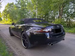 Jaguar XK Bild 3