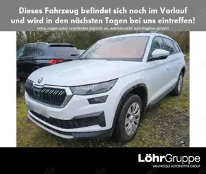 Skoda Kodiaq 1.5 TSI DSG Ambition '19 ACC Smart Link