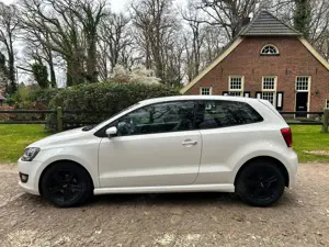 Volkswagen Polo Polo 1.2 TDI Blue Motion 87g Bild 4