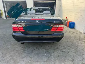 Mercedes-Benz CLK 320 CLK Cabrio 320 Avantgarde Bild 3
