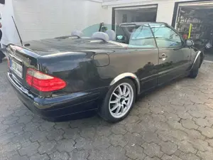 Mercedes-Benz CLK 320 CLK Cabrio 320 Avantgarde Bild 4