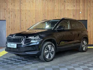 Skoda Karoq 2,0 TDI 4x4 DSG *Navi*AHK*Matrix*Kam*Pano