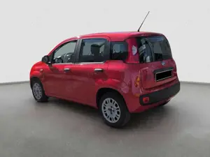 Fiat Panda Bild 3