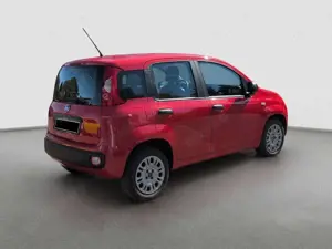 Fiat Panda Bild 5