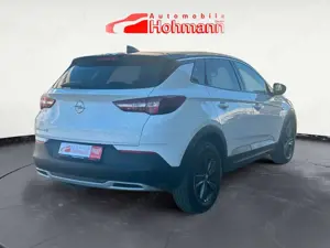 Opel Grandland X Bild 4