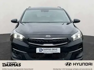 Kia XCeed XCeed Plug-in-Hybrid Spirit Teilleder Navi LED Bild 3