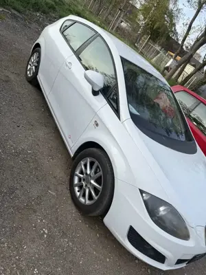 SEAT Leon Reference Copa Ecomotive Bild 2