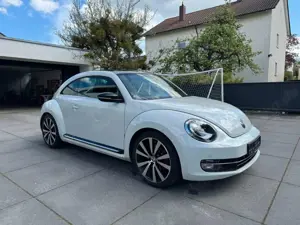 Volkswagen Beetle Bild 2