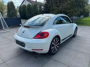 Volkswagen Beetle Bild 3