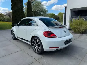 Volkswagen Beetle Bild 4