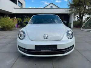 Volkswagen Beetle Bild 5