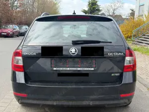 Skoda Octavia Bild 5