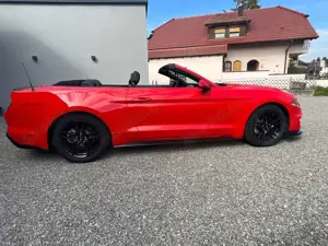 Ford Mustang GT 350  SHELBY