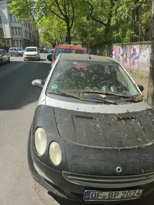 smart forFour Bild 2