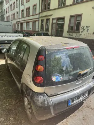 smart forFour Bild 4