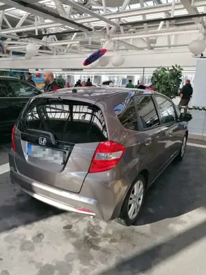 Honda Jazz 1.4 i-VTEC Comfort + Tempomat SHZ Reifen 2024 HU Bild 3