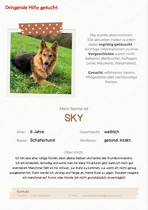 Schäferhund in Not !! Dringend !!!