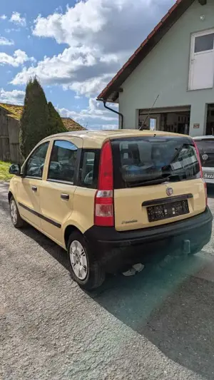 Fiat Panda Bild 2
