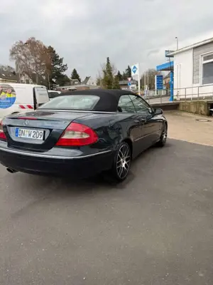 Mercedes-Benz CLK 200 Avangarde /Volleder/ReifenBremsen Neu Bild 5