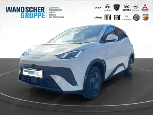 BYD Dolphin Surf Boost 43kWh KAMERA ACC ALU NAVI
