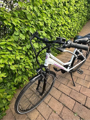 E-Bike Zündapp Z802, 28Zoll Bild 4