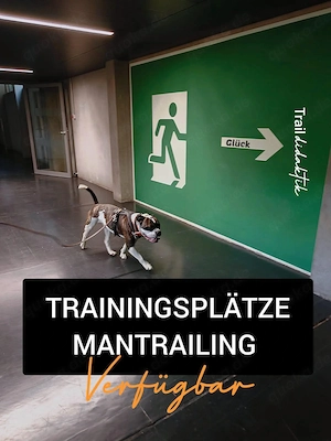 Mantrailing Plätze verfügbar 