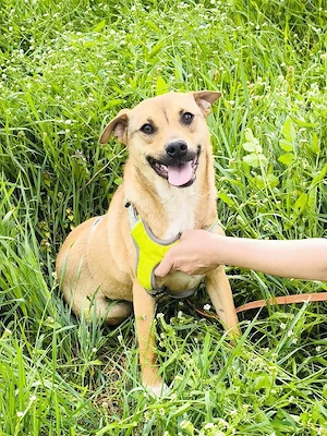 Kleine Endeckerin Penny 