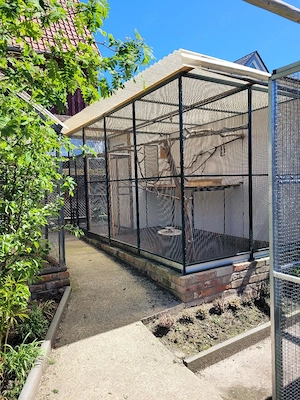 Suche Vögel für diese Voliere 