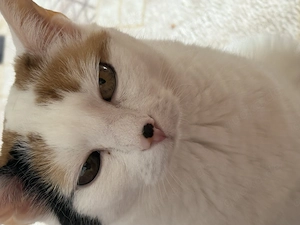 Welche älteren Mann bringt sein Frau zur mit oder ich komme euch 