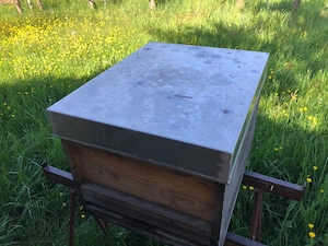 Imkerei - Auflösung Bienenhaltung